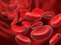 hemolýza a rozpad červených krviniek