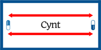 Cynt