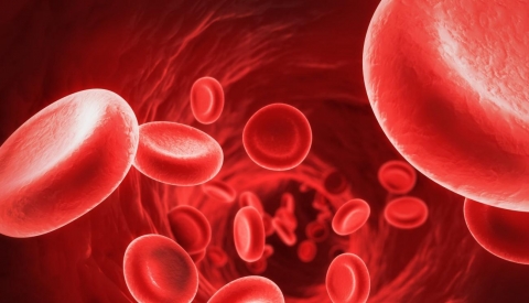 Nevyzretosť červených krviniek